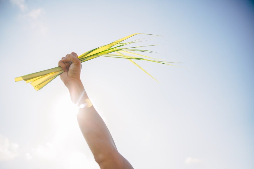 image-15 Photo Palm Sunday