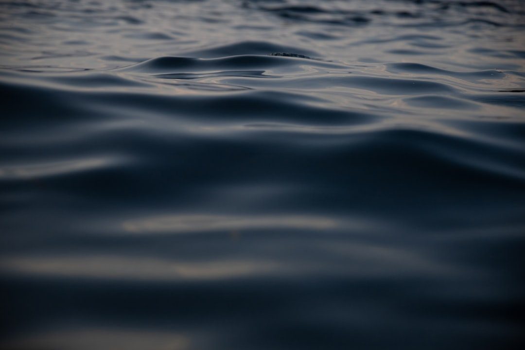 image-18 Photo Calm sea