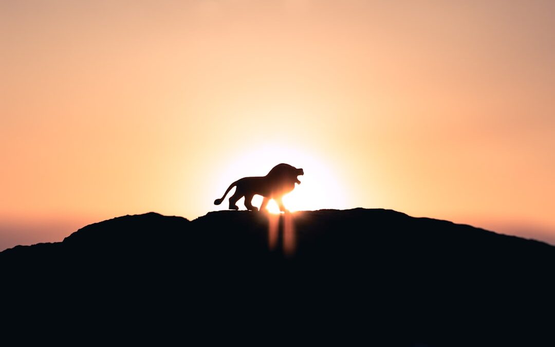 Photo Lion and Lamb